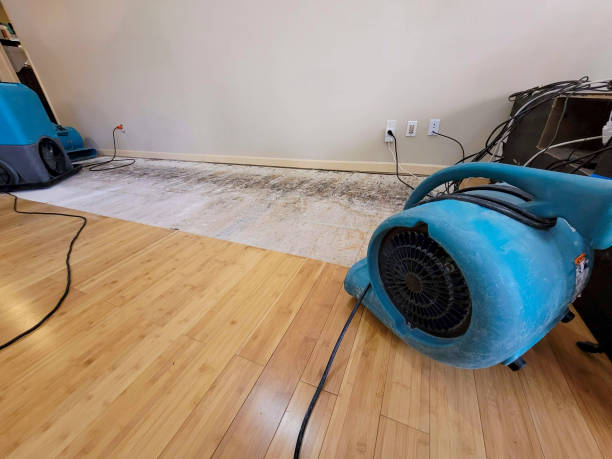 Professional Flood Damage Cleanup technician working in Jacksonville, AR